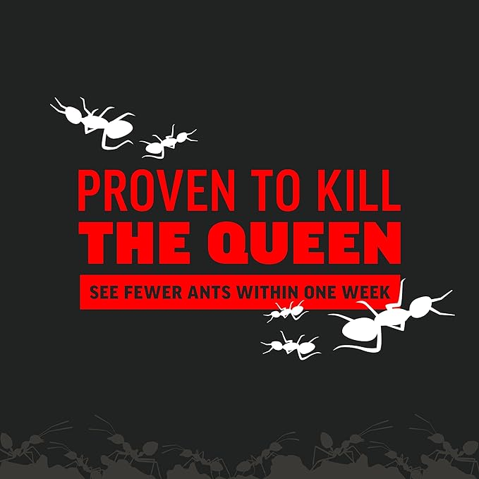 Amdro 100550427 Ant Killer for Outdoor Home Perimeter 24 oz, Black Label