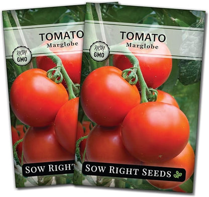 Sow Right Seeds - Marglobe Tomato Seeds for Planting - Non-GMO Heirloom Packet with Instructions to Plant and Grow a Home Vegetable Garden - Classic Medium Red Variety - Determinate Hydroponic (2)