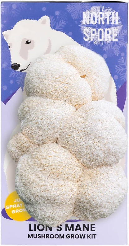 North Spore Organic Lion's Mane Mushroom Spray & Grow Kit (4 lbs) | USDA-Certified Organic, Non-GMO, Beginner-Friendly & Easy to Use | Handmade in Maine, USA | Limited Edition Holiday Polar Bear Kit