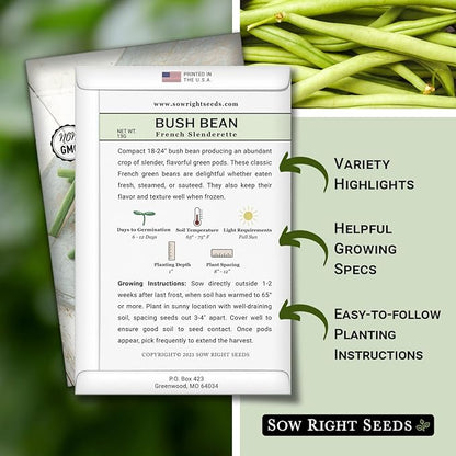 Sow Right Seeds - French Slenderette Green Bean Seeds for Planting - Non-GMO Heirloom Packet with Instructions to Plant & Grow an Outdoor Home Vegetable Garden - Fresh Slender Beans, French-Style (2)