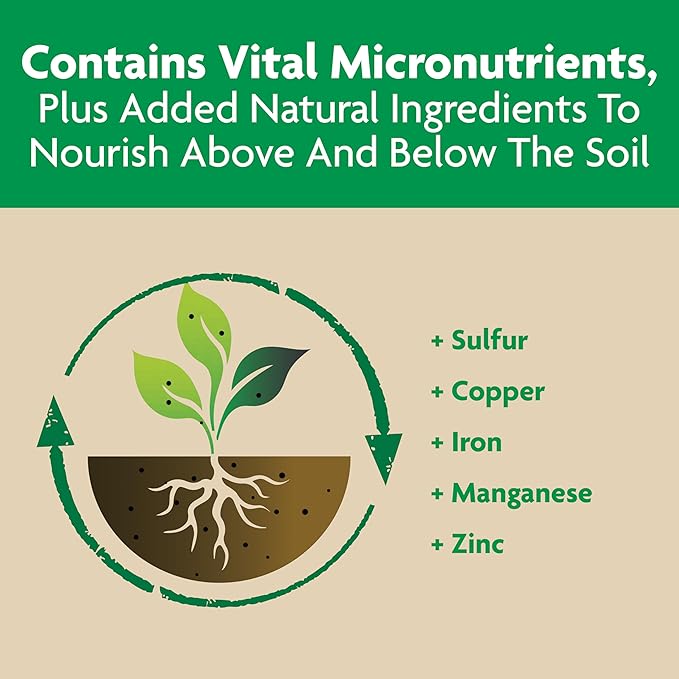Miracle-Gro Shake 'N Feed Tomato, Fruit and Vegetable Plant Food, For In-Ground and Container Plants, Feeds up to 3 Months, 1 lb.