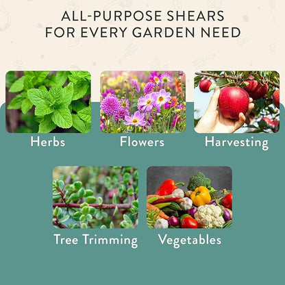 Modern Sprout Pruning Shears - Herb Snipping Scissors- Lightweight Gardening Tools W/Easy Lock - Flower Cutter Garden Shears - Carbon Steel Blade + Reusable Holster (Ocean, 1-Pack)