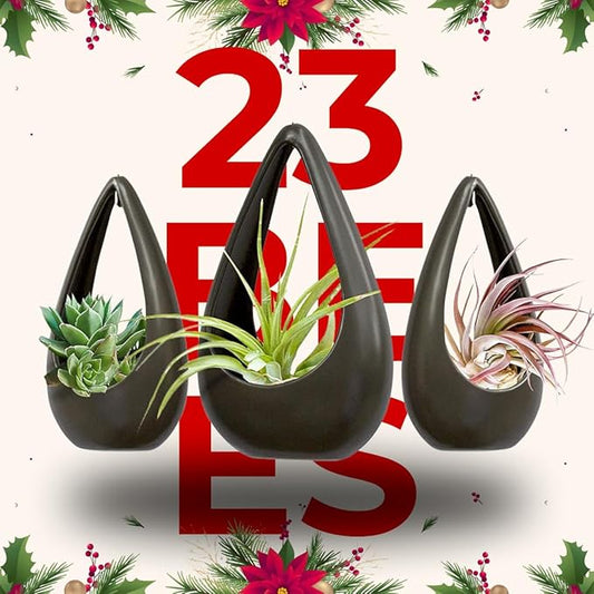 23 Bees, Hanging Air Plant Holder, Gray Hanger Ceramic Planter, Small Floating Succulent Pots Container, Cactus Holders with Metal Wire, 3 Pack