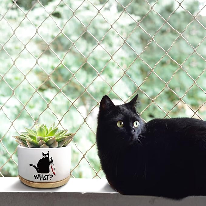 Funny Black Cat Plant Pot for Succulent, Cactus Flower Planter for Indoor Plants, Unique Succulents Pots with Drainage, Cats Owner Gifts, Home Desk Decor Planter Gift for Cat Lover (No Plants)