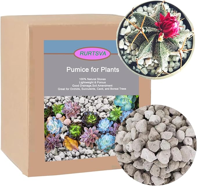 Horticultural Pumice for Plants, Natural Organic Pumice Stones for Succulent Cactus Bonsai Tree Orchid Potting Mixed, Improves Soil Aeration and Drainage, Promotes Root (15QT)