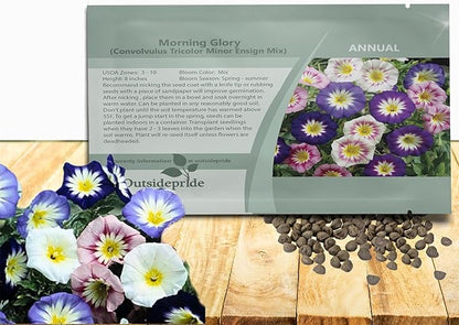 Outsidepride Ensign Mix Morning Glory Seeds - 1000 Pcs. Annual, Dwarf Mounding Flower Seeds for Planting Trumpet-Shaped Tricolored Blooms, Ideal for Garden Boxes, Beds & Containers