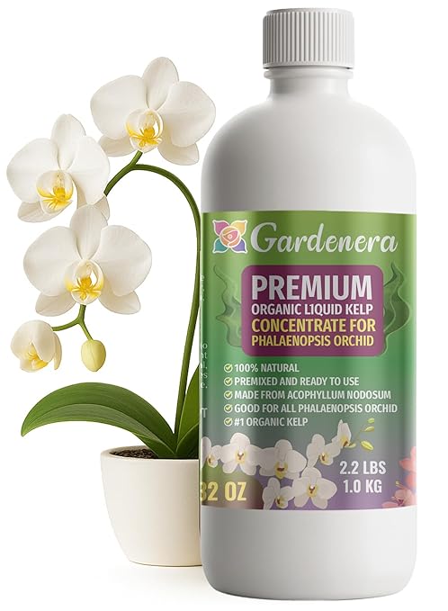 GARDENERA Premium Organic Seaweed & Kelp Superfood for PHALAENOPSIS Plants - 32 oz - Liquid Kelp Fertilizer Concentrate (Makes 180 Gallons)