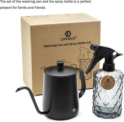 OFFIDIX Watering Can for Indoor Plants,Long Spout Metal Stainless Steel 21 oz/600 ml Watering Can with 14 oz/400ml Glass Plant Mister Spray Bottle for Plant Bonsai