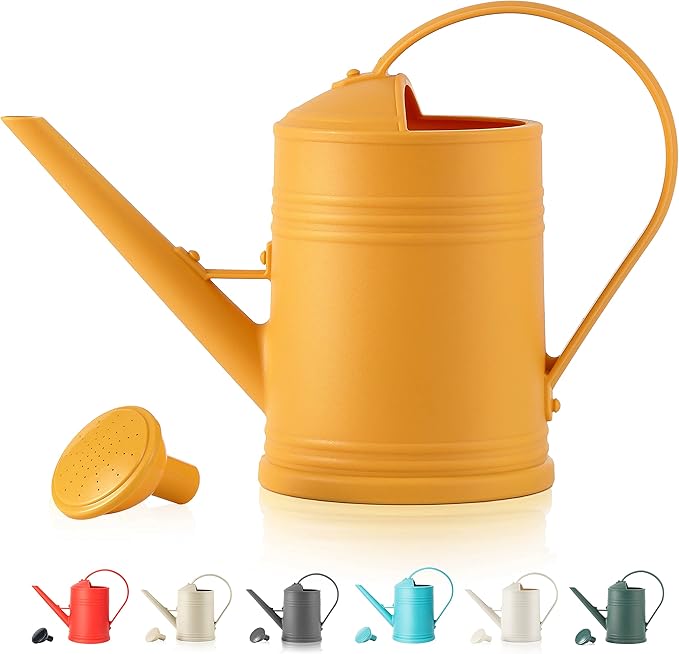 Plastic Indoor Watering Can with Detachable Sprinkler Head - 68oz (1/2 Gallon) for House Plants and Flowers