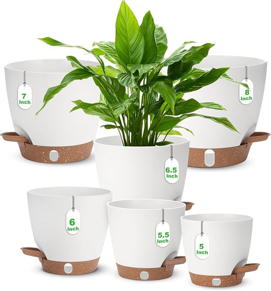 Self Watering Planter Set with Visual Water Level, 6Pack Small Plastic Pot with Drainage Holes and Reservoir Saucers, Modern 8+7+6.5+6+5.5+5 Inch Bottom Watering Flower Pots for Indoor Plant - White