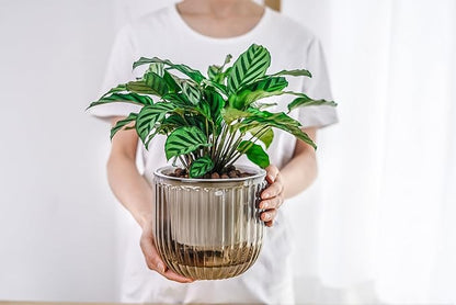 Melphoe 2 Pack Self Watering Hanging Planters Indoor Flower Pots, 6.5 Inch Outdoor Hanging Plant Pot Basket, Plant Hanger with 3Hooks Drainage Holes for Garden Home (Gray)