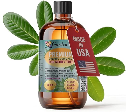 GARDENERA Premium Organic Seaweed & Kelp Superfood for Money Tree Plants - 8 oz - Liquid Kelp Fertilizer Concentrate (Makes 45 Gallons)