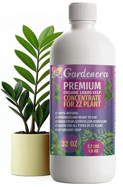GARDENERA Premium Organic Seaweed & Kelp Superfood for ZZ Plant Plants - 32 oz - Liquid Kelp Fertilizer Concentrate (Makes 180 Gallons)