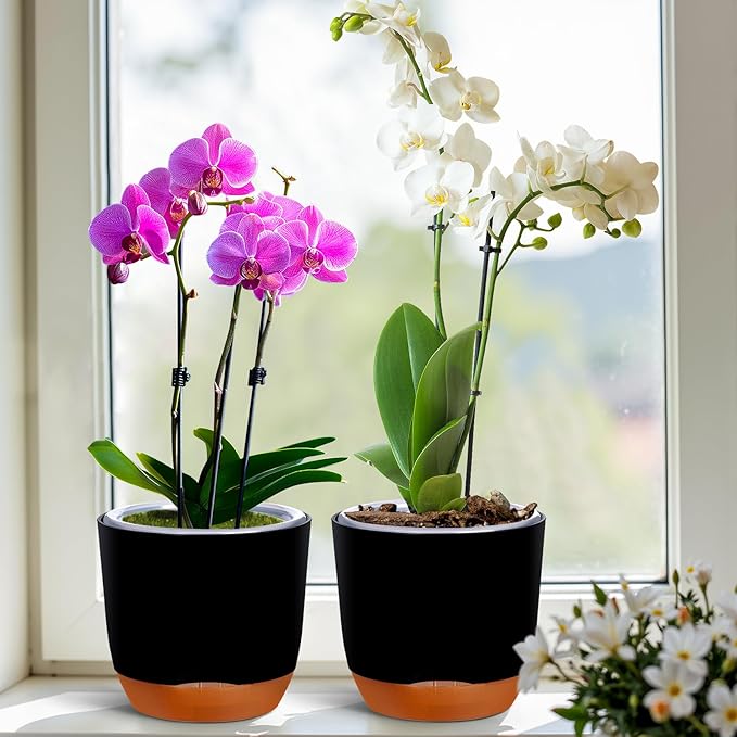 QCQHDU 2 Pack 7.2 Inch Orchid Pots with Holes for Repotting, Double-Layer and Self Watering Orchid Pot with Good Air Circulation