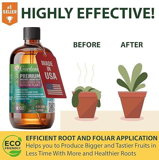 GARDENERA Premium Organic Seaweed & Kelp Superfood for Snake Plant Plants - 8 oz - Liquid Kelp Fertilizer Concentrate (Makes 45 Gallons)