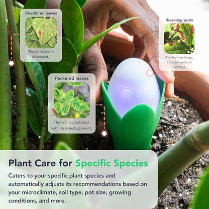 Flora Pod AI-Powered Smart Plant Monitor | for Indoor or Outdoor Plants | Personalized Alerts for Moisture, Temperature, Humidity, and Light