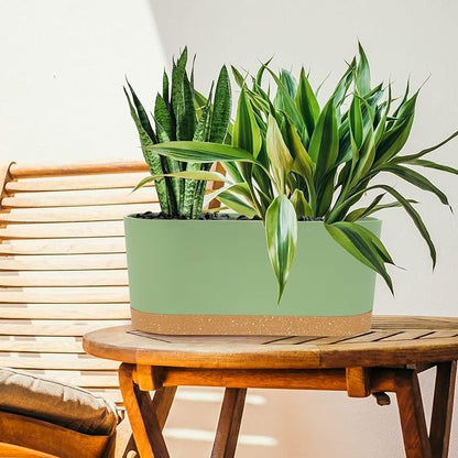 QCQHDU 16" L x 7.6" W x 7" H Window Planter Box, 2 Pack Self Watering Pots for Indoor Plants with Drainage Holes & Saucer, Outdoor Flower Pots Home Garden Modern Decor