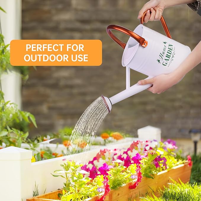 Metal Watering Can for Outdoor Plants, Galvanized Steel Watering Can with Removable spout, 1 Gallon,Perfect Home & Garden Décor White