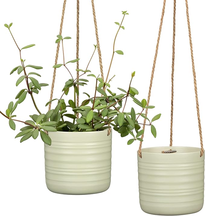 SCHEURICH Set of 2 Silent Green Cottage Ceramic Hanging Plant Pot 6.5" - with 22" Sisal Rope Hanger - Waterproof&Break-Resistant, for Indoor&Outdoor Plants, Succulents&Flowers - Made in Germany -0.7gl