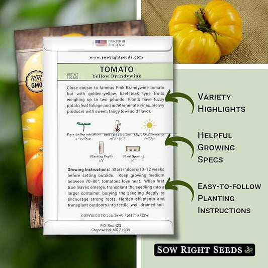 Sow Right Seeds - Yellow Brandywine Tomato Seeds for Planting - Non-GMO Heirloom Packet with Instructions to Plant a Home Vegetable Garden - Sunny Yellow Slicer with Sweet Flavor - Indeterminate (2)