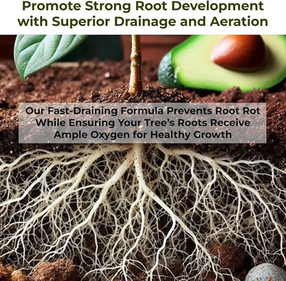 Avocado Tree Soil – Premium Organic Potting Mix for Avocado Trees | Tailored pH & Organic Nutrients | Fast-Draining & Moisture-Retaining | Indoor & Outdoor Use (4 QUARTS)