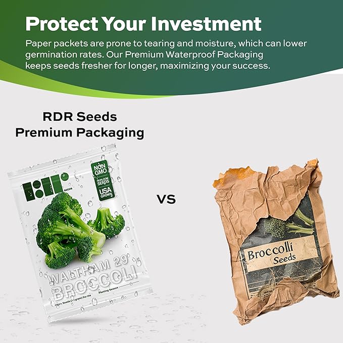 250 Broccoli Seeds for Planting Waltham 29 - Heirloom Non-GMO USA Grown - Broccoli Sprouts Microgreens Seeds