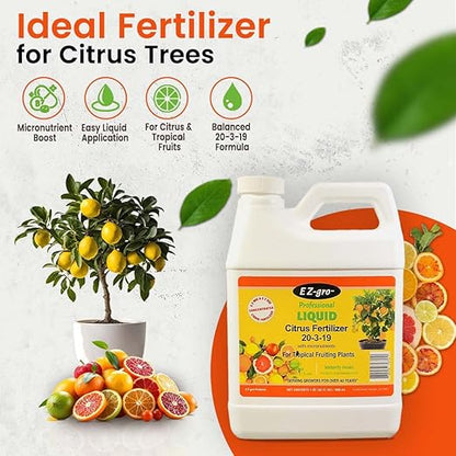 Citrus Tree Fertilizer - Orange, Lemon, Lime, Mango, Avocado - Citrus Fertilizer for Tropical Fruit Trees to Grow More Fruit - Garden-Growing Miracle Nutrients - 1 Qt / 32 fl oz / 946 mL