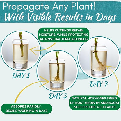 Houseplant Prop Drops - Propagation Promoter & Root Growth Hormone | Root Stimulator for Cuttings | Supports Stronger, Healthier Plants | Easy-to-Use Liquid Formula for Water & Soil Propagation | 8oz
