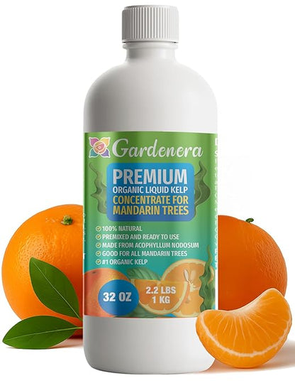 GARDENERA Premium Organic Seaweed & Kelp Superfood for Mandarine Plants - 32 oz - Liquid Kelp Fertilizer Concentrate (Makes 180 Gallons)