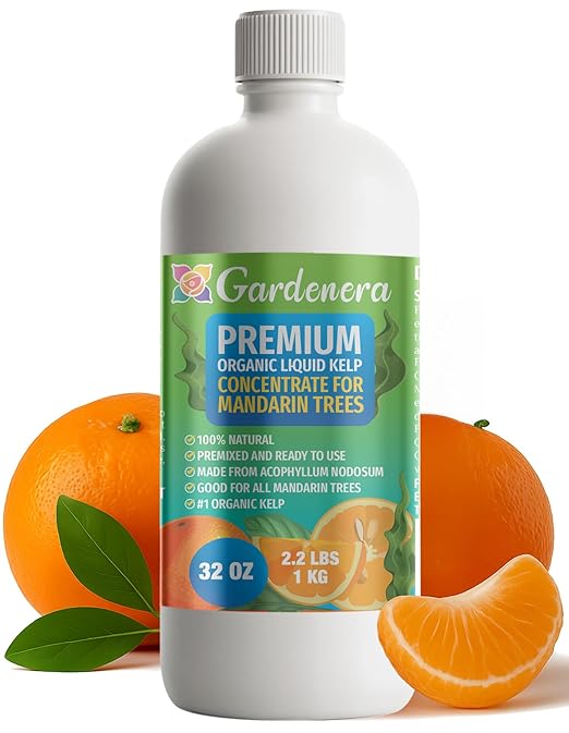 GARDENERA Premium Organic Seaweed & Kelp Superfood for Mandarine Plants - 32 oz - Liquid Kelp Fertilizer Concentrate (Makes 180 Gallons)