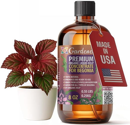 GARDENERA Premium Organic Seaweed & Kelp Superfood for Begonia Plants - 8 oz - Liquid Kelp Fertilizer Concentrate (Makes 45 Gallons)