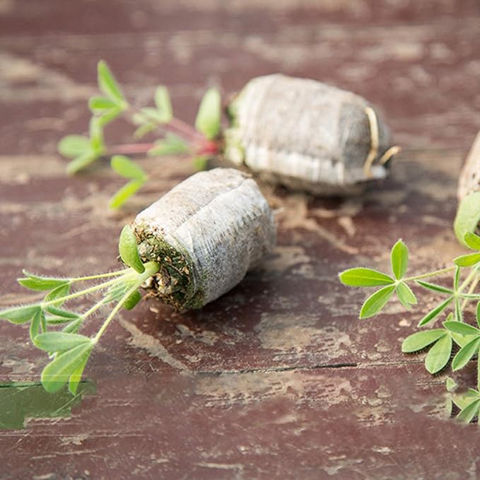 Tlswshsy 120 Pcs 30mm Peat Pellet Plant Pallet Seedling Soil Block, Plant Starting Plugs, Transplanting Growing Garden Flower Vegetables