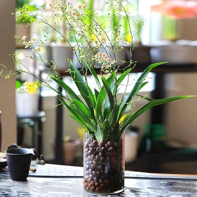 5 lbs Clay Pebbles for Plants, 8-12 mm Leca Clay Balls for Indoor Plants, Orchid Potting Mixes, Hydroponic Growing, Aquaponics, Potted Top Dressing and Drainage