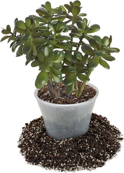 GARDENERA Premium Jade Plant Potting Soil Mix - (3 Quart Bag)