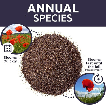Red Poppy Seeds - Large 1 Ounce Packet - Over 200,000 Flower Seeds