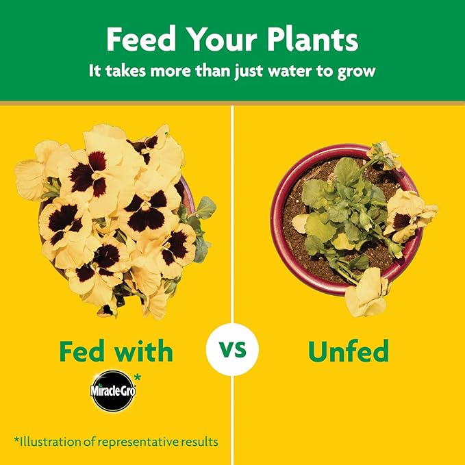 Miracle-Gro Water Soluble All Purpose Plant Food, Fertilizer for Indoor or Outdoor Flowers, Vegetables or Trees, 3 lbs.