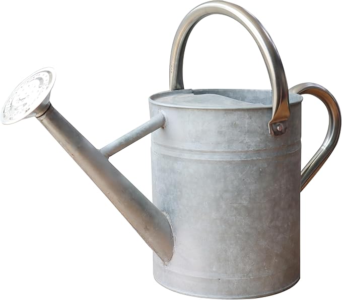 Metal Watering Can for Outdoor and Indoor Plants, Watering Can Decor, 1 Gallon (Zinc Stainless Steel Handle)