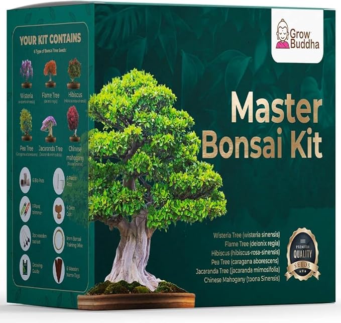 Green Grow Buddha Master Bonsai Tree Growing Kit - Professional Growing and Styling Set - Japanese Small Tree - Become Master - Ideal Tree Seed Kit for Indoor Garden Gardening