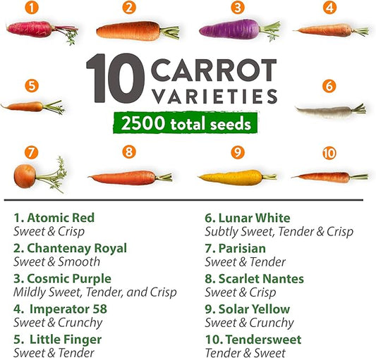 HOME GROWN Rainbow Carrot Seeds – 2500+ Heirloom Seeds (10 Varieties) – High Germination, Vegetable Seeds for Planting Indoors or Outdoor Home Garden