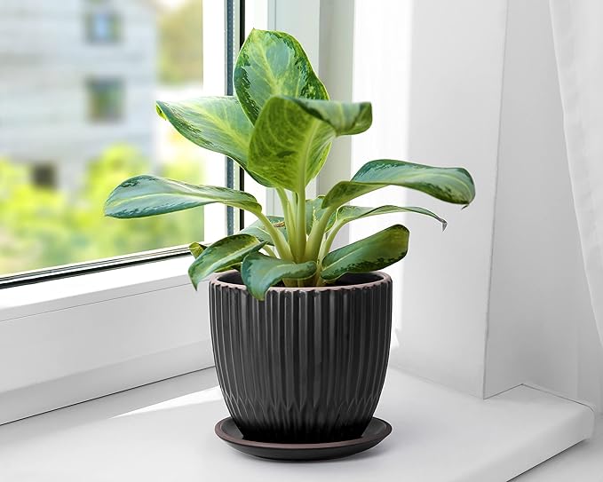 D'vine Dev Set of 2 Stoneware Planter Pots, Ceramic Pot with Drainage Hole and Saucers, 4.5 Inch 5.8 Inch, Black, 99-D-2