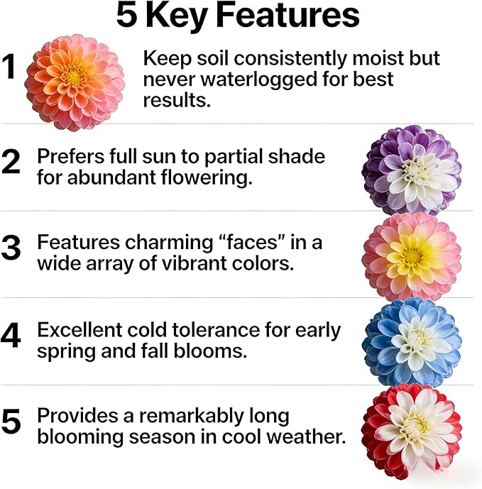 1000 Pansy Flower Seeds - Cold Tolerant Blooms in Vibrant Colors, Long Blooming Season for Garden Beds, Borders, and Containers (2000, Blue)