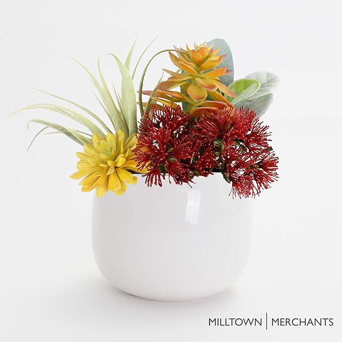 Milltown Merchants Succulent Wall Planters - White Ceramic Wall Mounted Planters - Succulent Plant Pots - Hanging Vases for Living Wall (1 Pack/Modern/White)