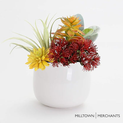 Milltown Merchants Succulent Wall Planters - White Ceramic Wall Mounted Planters - Succulent Plant Pots - Hanging Vases for Living Wall (1 Pack/Modern/White)