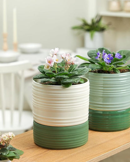 Self Watering Pots for Indoor Plants, 6 Inch Ceramic Self Watering Plant Pot, Planter Pot with Wick Rope and Drainage Hole for African Violet Succulent Herbs (White Matte)