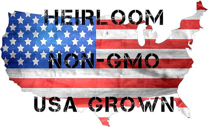 250 Broccoli Seeds for Planting Waltham 29 - Heirloom Non-GMO USA Grown - Broccoli Sprouts Microgreens Seeds