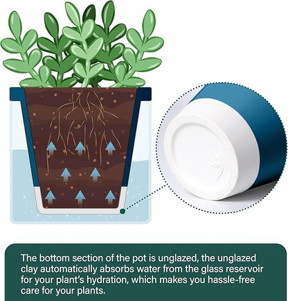 D'vine Dev 4 Inch Design Self Watering Planter for Indoor Plants, Blue Terracotta Pot with Cylinder Glass Cup, Set of 4, 37-Z-A-4-F