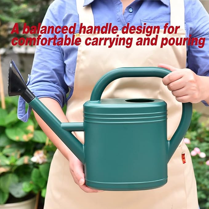 Watering Can 1 Gallon for Garden, Indoor Plants, Outdoor Plant House Flower, Large Long Spout with Sprinkler Head (Grey)