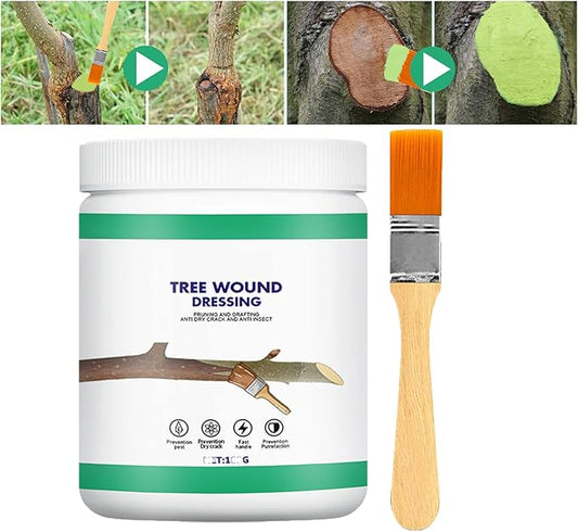 XIRUJNFD Tree Wound Sealer, Bonsai Cut Paste, Tree Wound Sealer Healing Paste, Pruning Sealer and Tree Wound Dressing for Plant, Trees, Shrubs, Roses, Tree Grafting Supplies (1 * 100g +1*Brush)