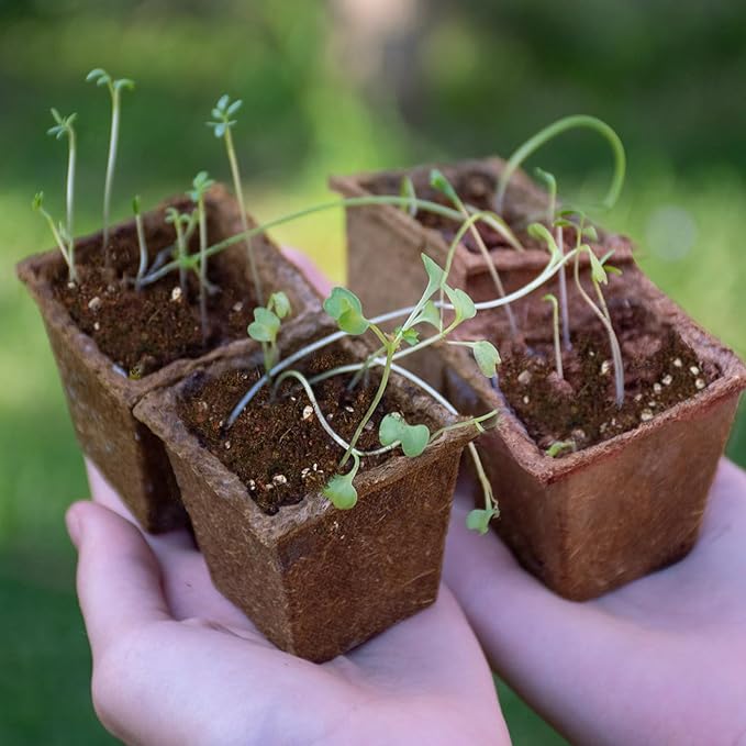 Seed Starting Soil Mix 1qt, Seed Starter Seedling Soil Ready to Use Suitable for Vegetable, Flower, Houseplant and Bonsai