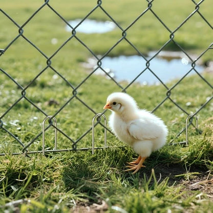 AAGUT Garden Stakes, Yard Landscape Staples Heavy Duty Galvanized 11-Gauge 6 Inch Lawn U Pins for Dog Fence,Tubing Drip Irrigation Hose, Chicken Wire, Weed Barrier Fabric 200 Pack